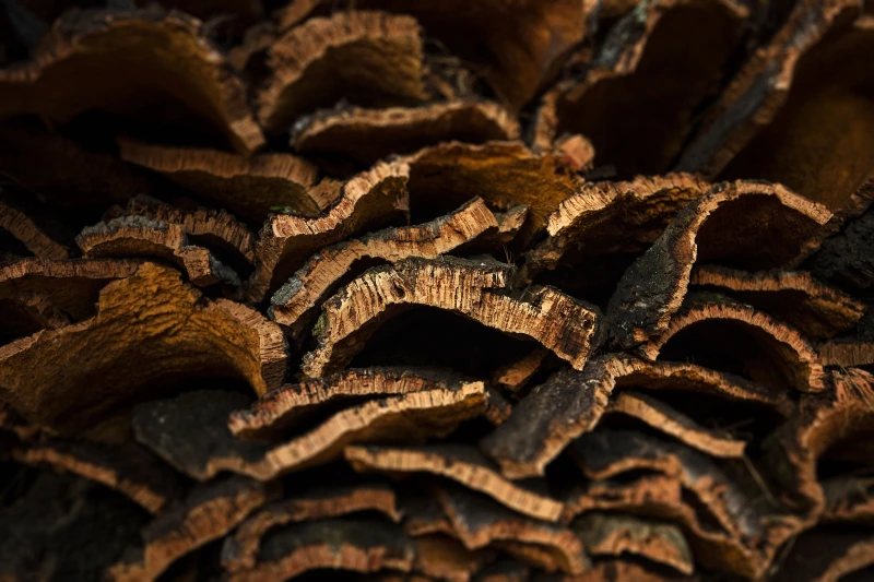 Cork's sustainable journey to its end-of-life